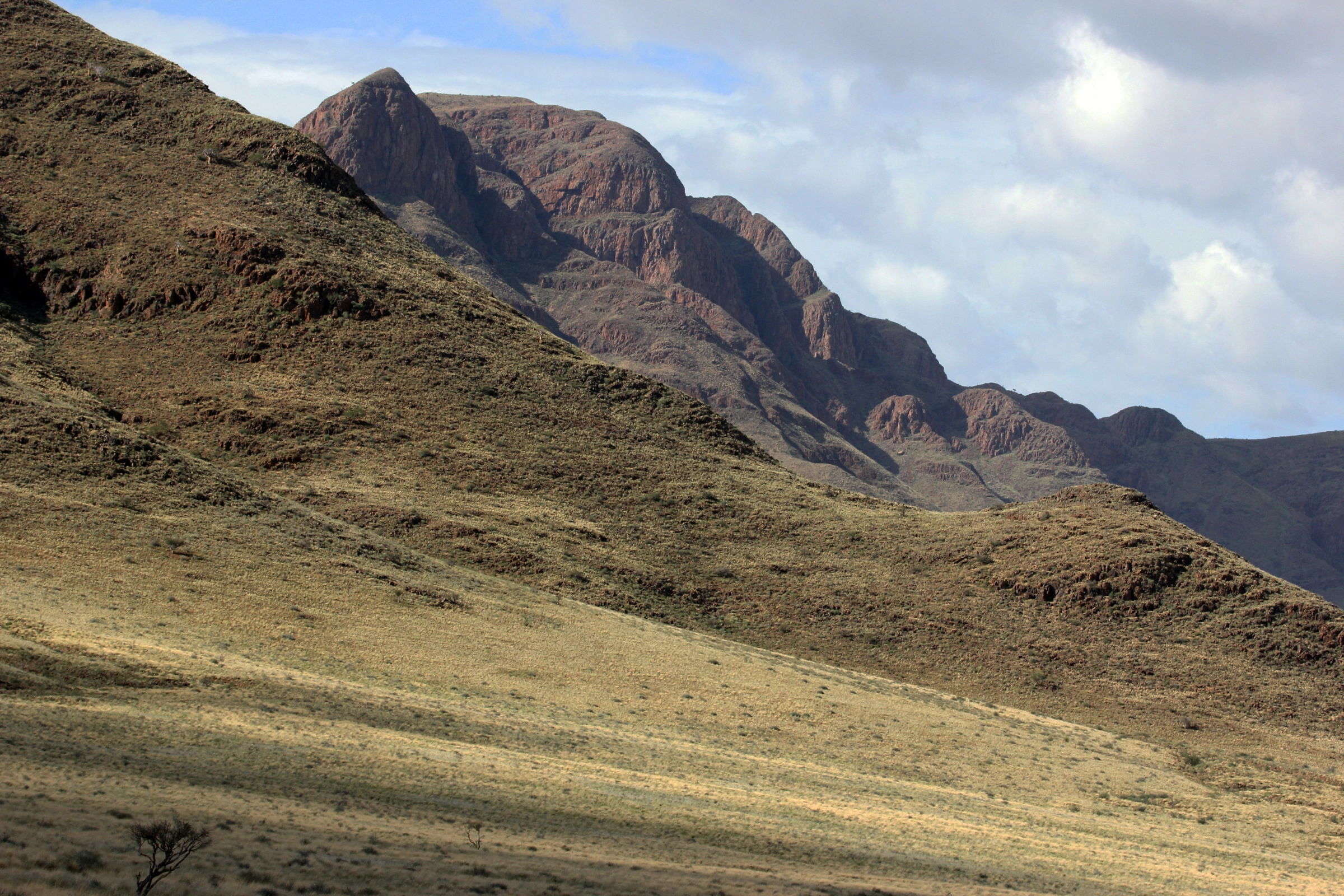 NamibRand_Nature_Reserve[1].webp